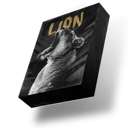 Savage Sounds Lion Progressive House Sample Pack WAV Synth Presets